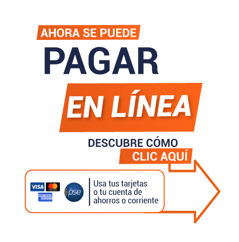 Ahora puedes pagar en línea con tarjetas o PSE